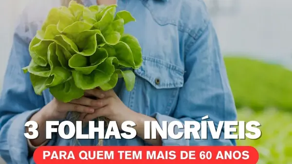 3 FOLHAS INCRÍVEIS para QUEM TEM MAIS DE 60 ANOS