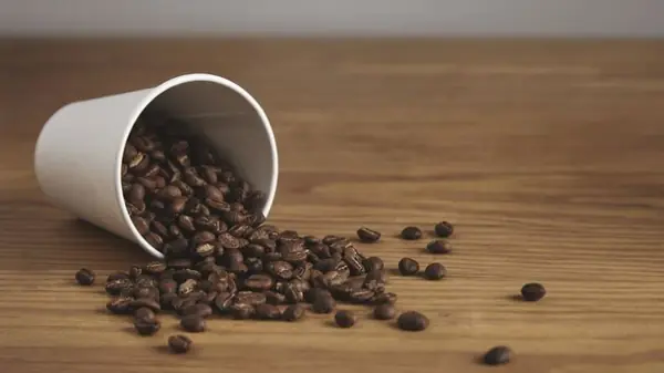O Poder das Abelhas Nativas na Produção de Café
