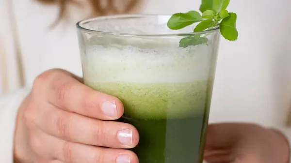 O Elixir Milenar: Chá Verde – Análise Técnica de Benefícios, Dissolução de Mitos e Verdades e o Roteiro para os Melhores Drinks