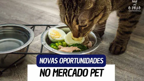 Comida feita em casa ganha espaço no mercado pet